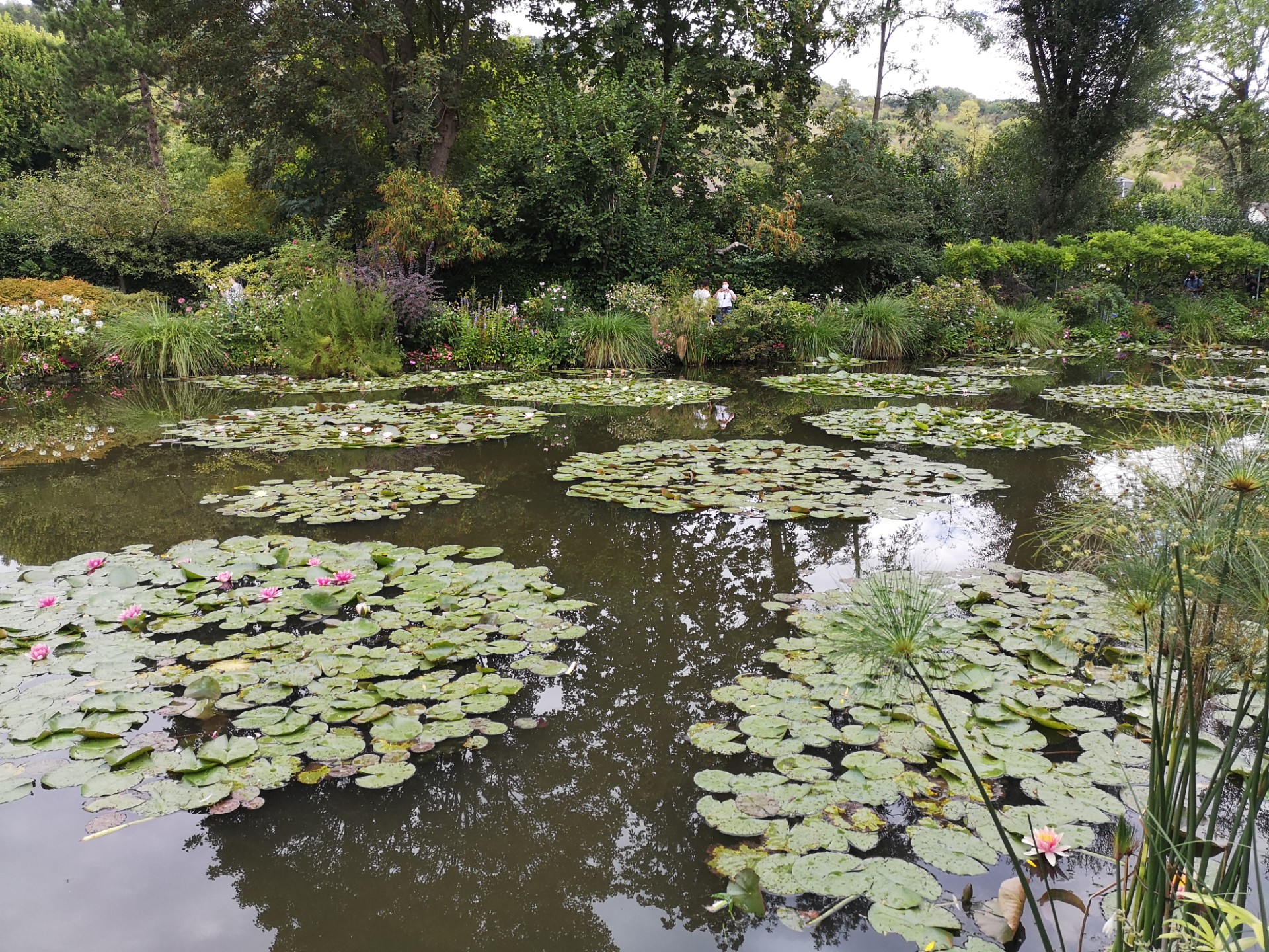 Giverny: Monet's Private Garden Experience