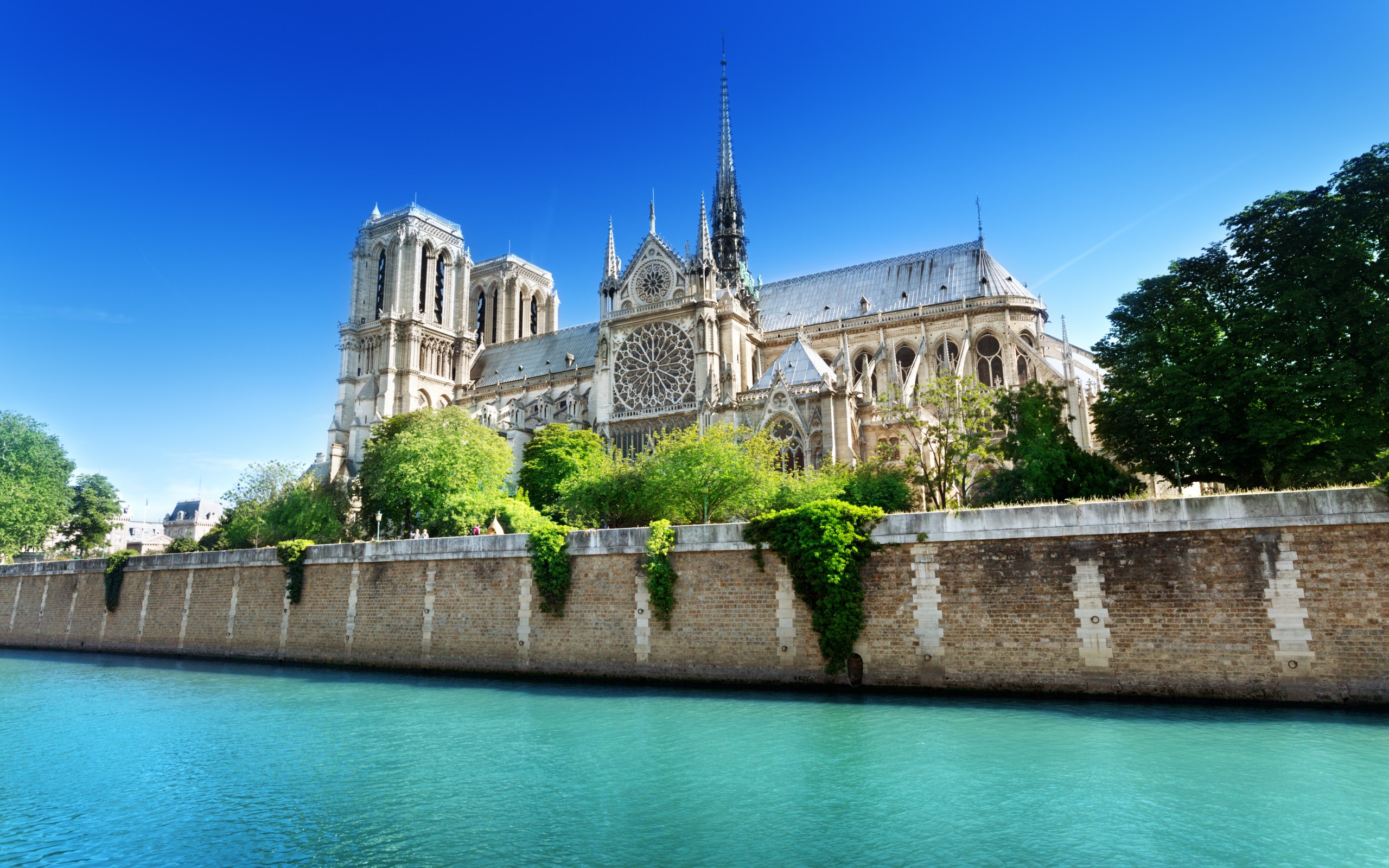 Notre Dame Cathedral and Ile de la Cité - Timeless Paris